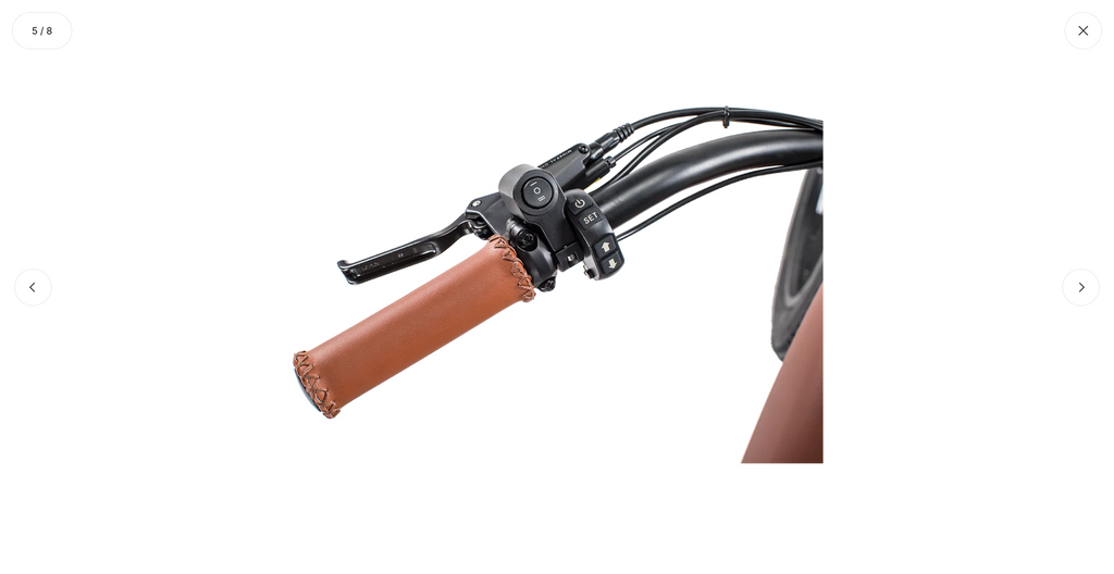 Gypsy Electric Bike - Wholesale Bundle of 5 | Premium Women's E-Bike Distributor Pricing