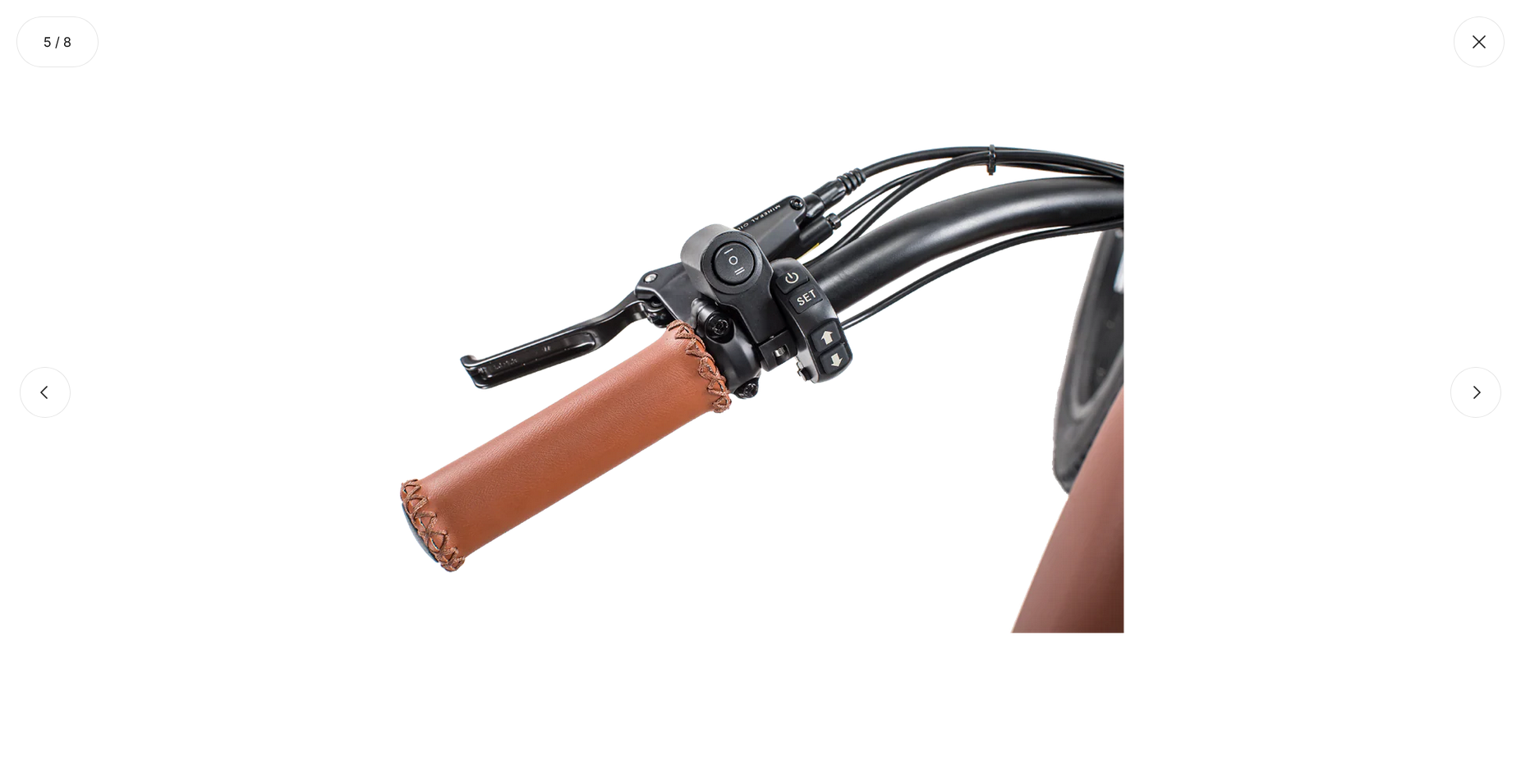 Gypsy Electric Bike - Wholesale Bundle of 5 | Premium Women's E-Bike Distributor Pricing