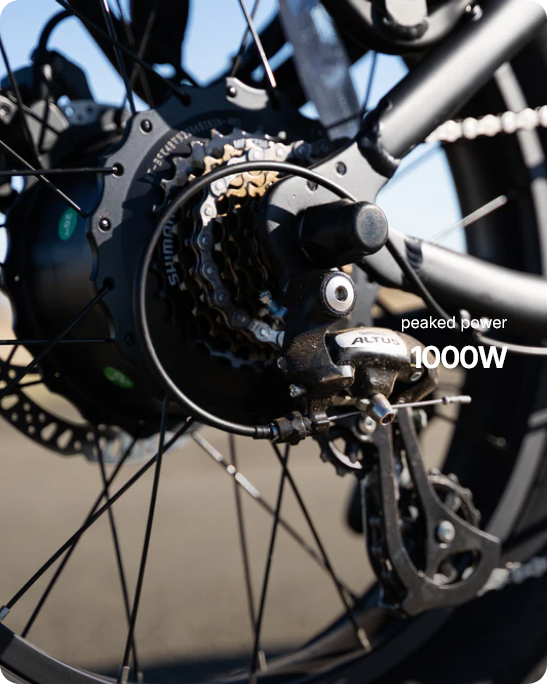 Rogue Electric Bike - Wholesale Bundle of 10 | Premium E-Bike Distributor Pricing