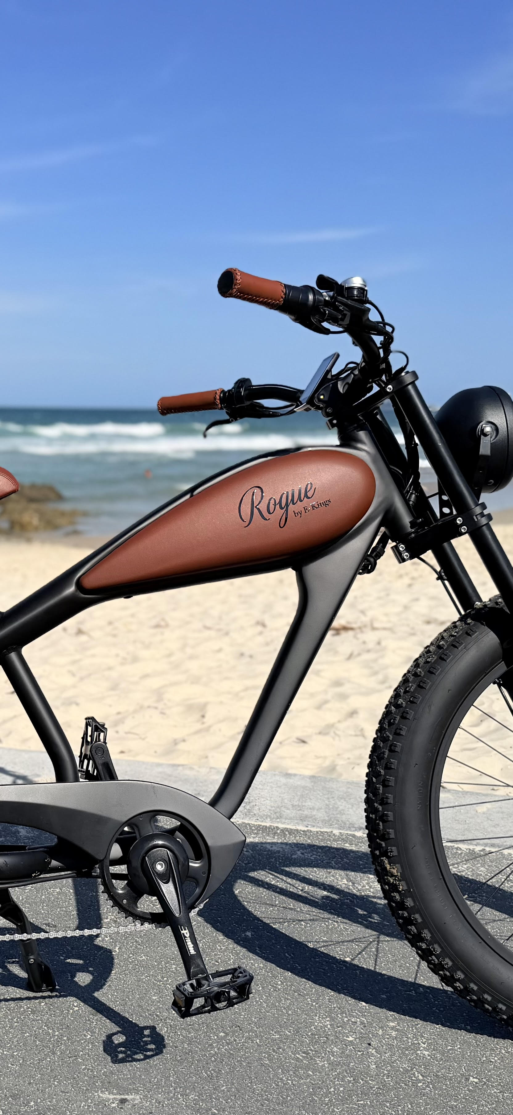 Rogue Electric Bike - Sample Unit | Premium E-Bike Wholesale Pricing