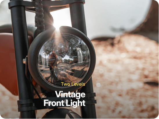 Zephyr Electric Bike - Sample Unit | Premium E-Bike Wholesale Pricing (Copy)