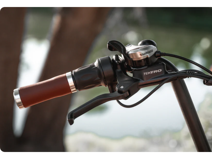 Zephyr Electric Bike - Wholesale Bundle of 10 | Premium E-Bike Distributor Pricing