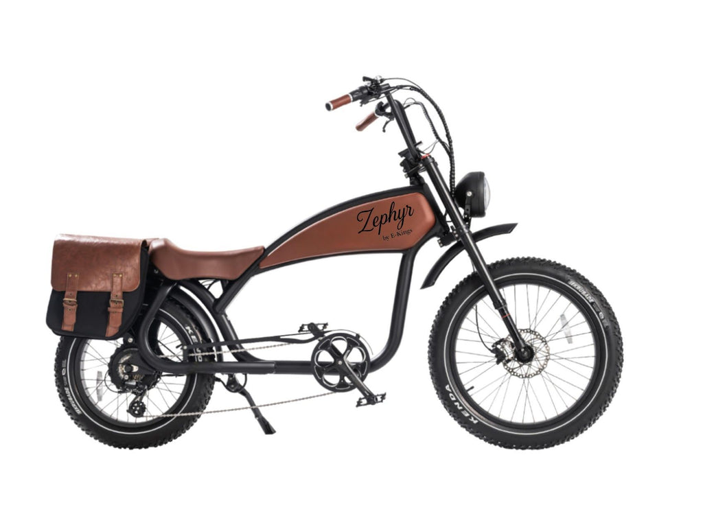 Zephyr Electric Bike - Wholesale Bundle of 10 | Premium E-Bike Distributor Pricing