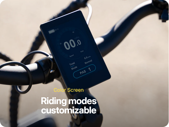 Rogue Electric Bike - Wholesale Bundle of 10 | Premium E-Bike Distributor Pricing