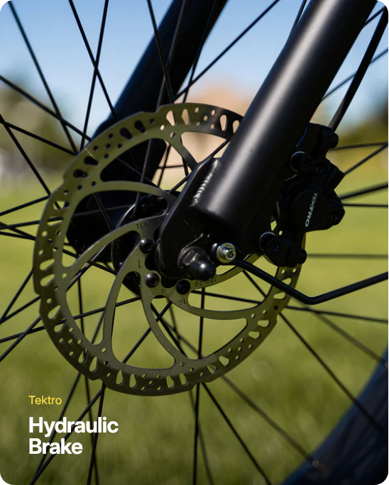 Rogue Electric Bike - Wholesale Bundle of 10 | Premium E-Bike Distributor Pricing